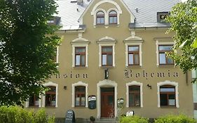 Pension Bohemia Horní Blatná
